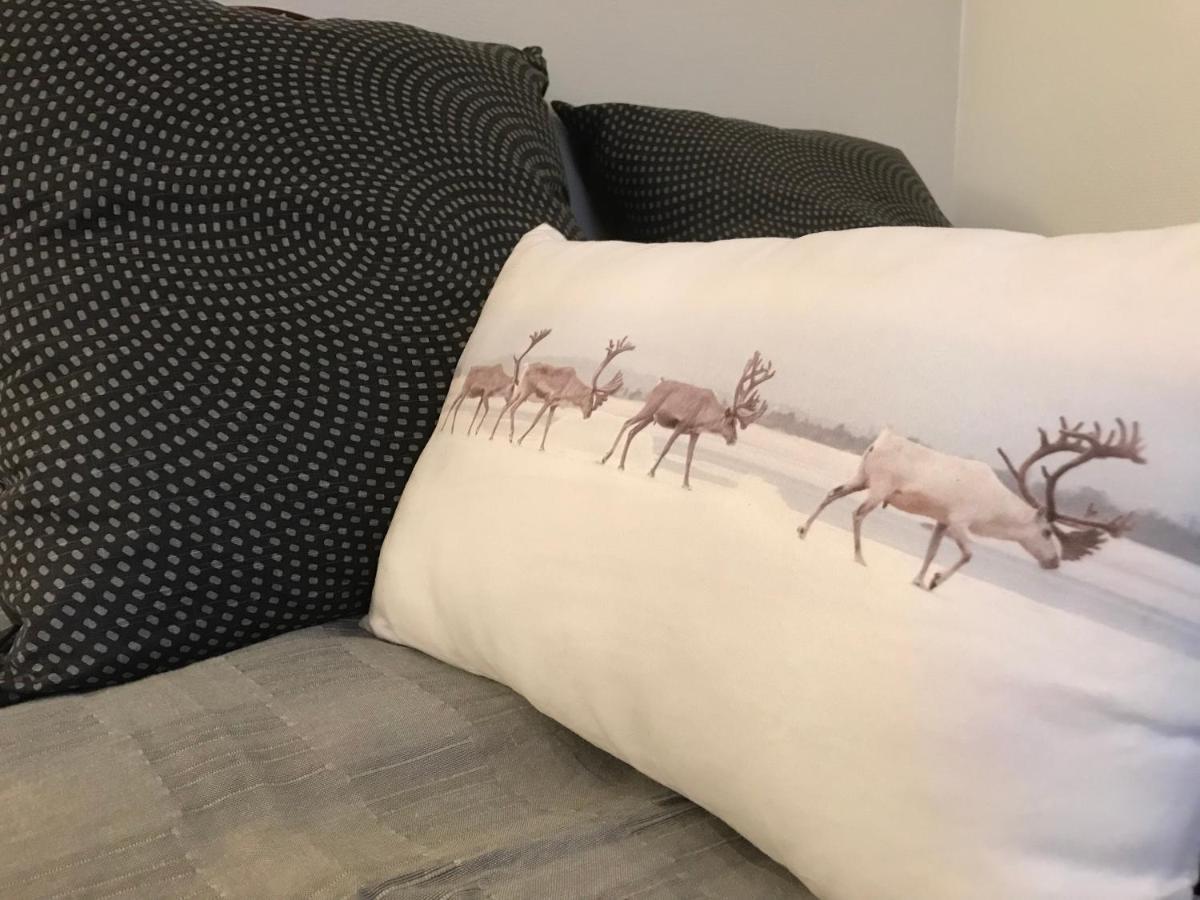 Arctic Sofia Riverstudio Rovaniemi Eksteriør billede