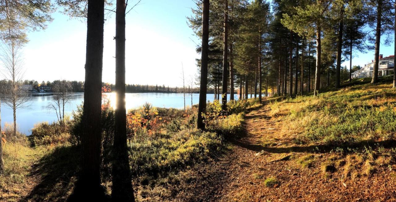 Arctic Sofia Riverstudio Rovaniemi Eksteriør billede