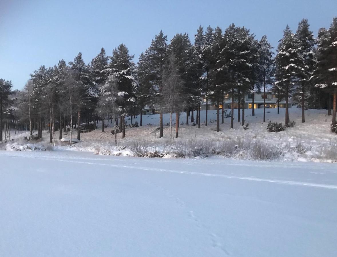 Arctic Sofia Riverstudio Rovaniemi Eksteriør billede
